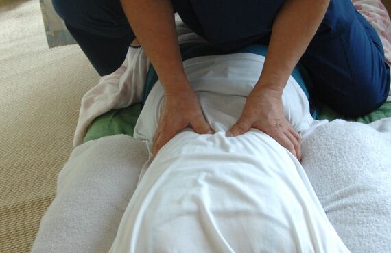 川口市内全域に往診いたします | 痛みを根本改善に導く川口の整体院・美康茶院ビコサ